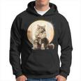 Solar Eclipse 2024 Maine Coon Cat America Totality Hoodie