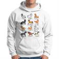 Muchas Razas De Caballos Caballos Kawaii De Dibujos Animados Sudadera