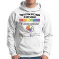 Spectrum Is Not Linear Autistic Pride Autism Awareness Month Hoodie
