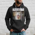 I Can Act Rather Silly At Times Silly Cat Meme Hoodie Gifts for Him