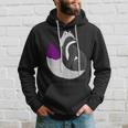 Demisexual Fox Demisexual Pride Hoodie Gifts for Him