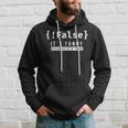 False Programmer Coding Code Coder Software Hoodie Gifts for Him
