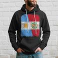 Half Argentinian Half Peruvian Flag Heritage Pride Roots Hoodie Gifts for Him