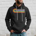 Proud Dad Gay Pride Lgbt Flag Vintage Parent Father's Day Hoodie Gifts for Him