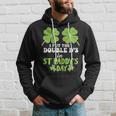 I Put The Double D's In St Paddy's Day Hoodie Gifts for Him
