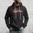 St Louis City Flag Downtown Skyline St Louis Skyline Hoodie Gifts for Him