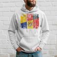 Germany Moldova Flags Half Moldovian German Roots Vintage Hoodie Gifts for Him