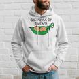 Two Peas In A Pod Grandpa Of Twins Hoodie Gifts for Him