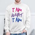 I Am What I Am I Am Flag For Bisexual Sweatshirt Geschenke für alte Männer