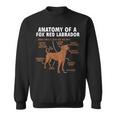 Anatomy Of A Fox Red Labrador Retriever Foxred Lab Sweatshirt