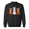Basketball Baseball Football Sports Easter Bunny Rabbits Sweatshirt
