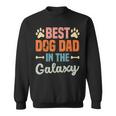 Best Dog Dad In The Galaxy –Atertag – Hundeliebende Papa Sweatshirt