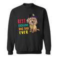 Bester Cockapoo Hund Papa Aller Zeitenatertag Lustiger Kapuzenjacke Sweatshirt