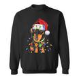 Dachshund Christmas Loves Led Cute Dog Lovers Sweatshirt