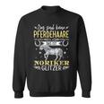 Das Sind Keine Pferdehaare Das Ist Ist Noriker Glitter Pferde Sweatshirt