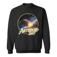 International Asteroid Day Meteor Lover Astronomer Sweatshirt