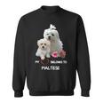 Maltese Dog Heart Belongs Maltese Puppy Sweatshirt