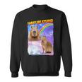 I May Be Stupid Internet Meme Sweatshirt