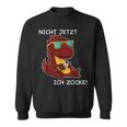 Nicht Jetzt Ich Zocke Cool Gamer Dinosaur Gamer Gaming Sweatshirt