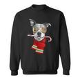 Pitt Bull Cute Christmas Dog Lovers Sunglasses Sweatshirt