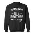 Promoted To Big Brother Est 2024 Bro Est 2024 Sweatshirt