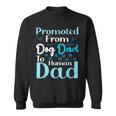 Promoted From Dog Dad To Human Dad Father's Day Sweatshirt