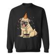 Pug Birthday Pug Birthday Party Pug Theme Sweatshirt