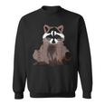 Raccoon With Face Like Bears Raccoons And To Smile Sweatshirt