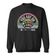 Retro Vintage You Are On Native Land Native Protest Sweatshirt