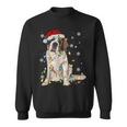 Saint Bernard Dog Santa Christmas Tree Lights Pajama Xmas Sweatshirt