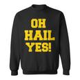 State Of Michigan Oh Hail Yes U M Ann Arbor Mi Aa Sweatshirt
