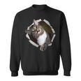 Sweet Kitten Torn Cloth Unique & Cool Cat Lover Sweatshirt