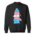 Transgender Cats Transgender Colours Sweatshirt