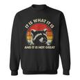 Vintage Racoon It Is What It Is And It Is Not Great Sweatshirt