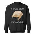 It Is Wednesday My Dudes Sweatshirt