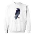 Bodega Bay Northern California Coast Crow Raven Lovers Sweatshirt