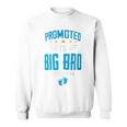 I'm Going To Be A Big Brother 2024 Promoted To Big Bro 2024 Sweatshirt