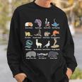 Animals Of The World Rare Exotic Animals Memes Sweatshirt Gifts for Him