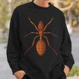 Ant Ant Costume Sweatshirt Gifts for Him
