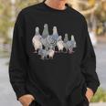 Bird Animal Motif Pigeon Sweatshirt Geschenke für Ihn
