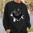 Black Cat Torn Cloth For Cat Lover Cat Dad Cat Mom Sweatshirt Gifts for Him