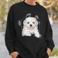 Cute Maltese Torn Cloth Maltese Lover Dog Owner Puppy Sweatshirt Gifts for Him