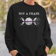 Demisexual Pride Flag Not A Phase Demisexual Sweatshirt Gifts for Him