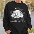 Cute English Bulldog Anatomy Dog Biology Sweatshirt Gifts for Him
