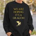 We Are Hoping Its A Dragon Maternity Sweatshirt Gifts for Him