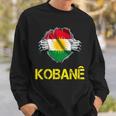 Kobani Kobane Kurdish Kurd Symbol Kurdistan Flag Sweatshirt Geschenke für Ihn