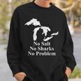 Michigan Great Lakes No Salt No Sharks No Problem Sweatshirt Gifts for Him