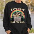 Opossum Raccoon Skunk Live Fast Eat Trash Street Cats Squad Sweatshirt Gifts for Him