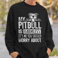 My Pitbull Is Harmless Its Me You Should Worry About Pittie Sweatshirt Gifts for Him