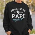 Promoted To Papi Again 2024 2Nd Pregnancy Announcement Daddy Sweatshirt Gifts for Him
